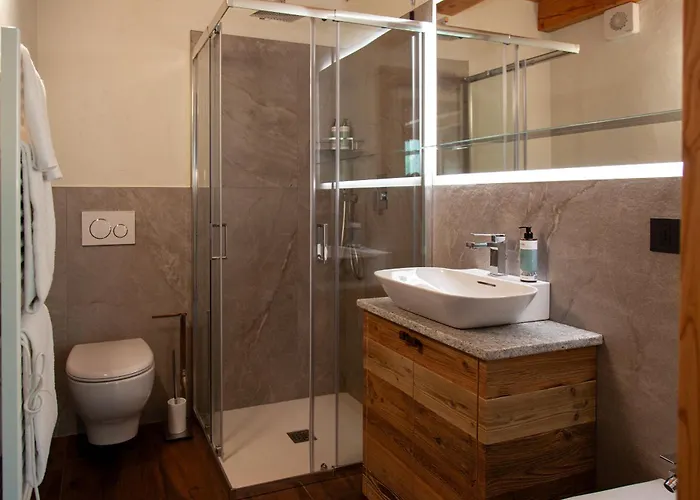 Meijon Salluard Rta 3*