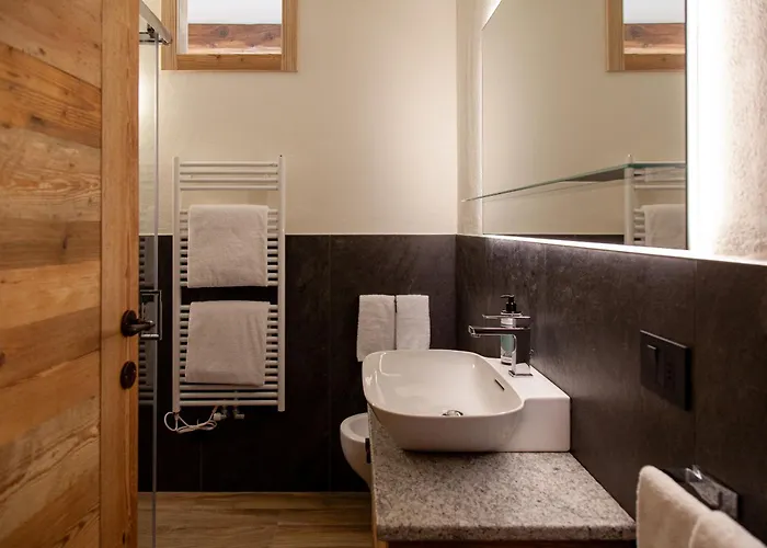 Meijon Salluard Rta 3*